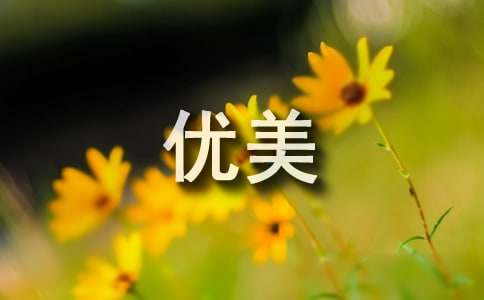 山东烟台年度职工社保缴费基数调整方案【优质3篇】